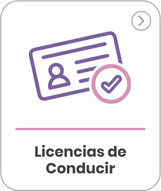 Licencias de Conducir