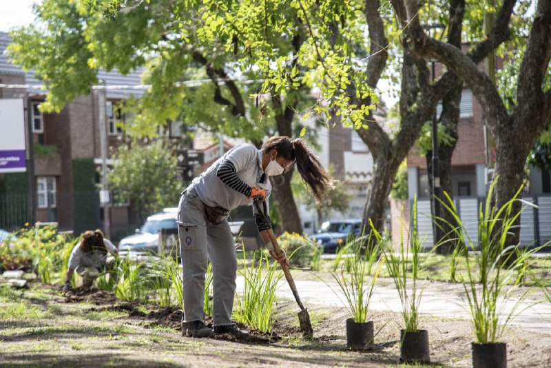 INTENSA JORNADA DE MANTENIMIENTO EN ESPACIOS  PÚBLICOS DEL DISTRITO