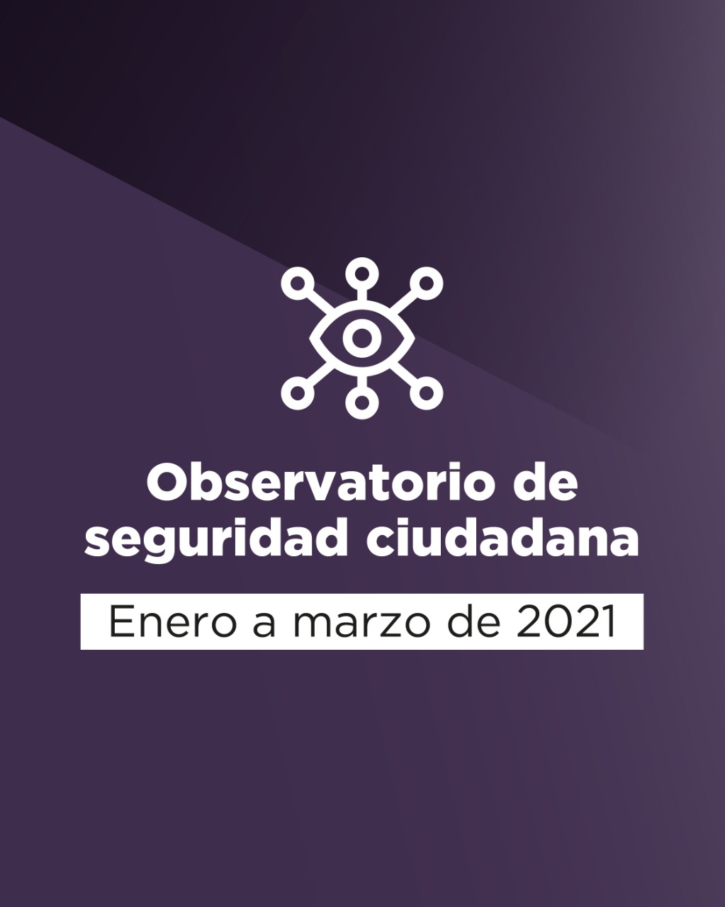 ACCIONES DESARROLLADAS POR EL OBSERVATORIO DE SEGURIDAD CIUDADANA