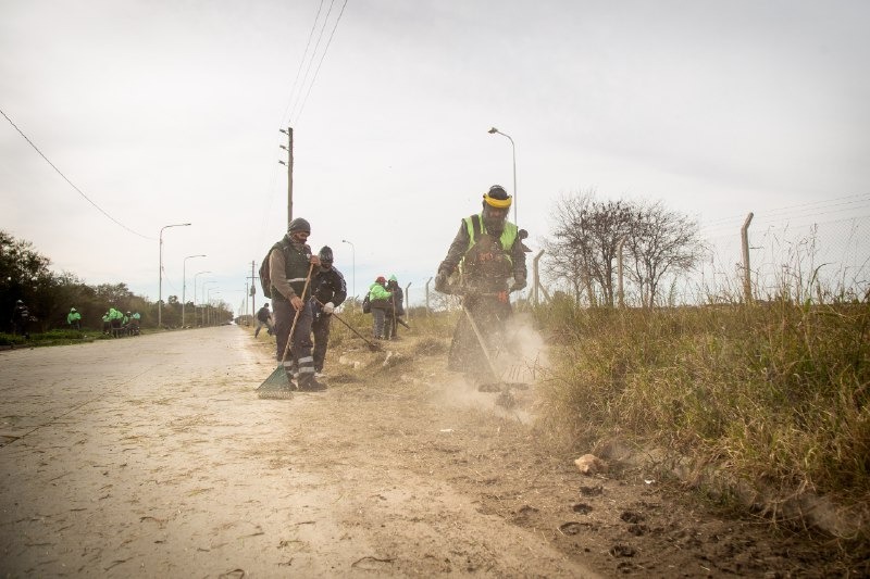 TAREAS DE BACHEO, LIMPIEZA, ERRADICACIÓN DE MICROBASURALES Y SANEAMIENTO