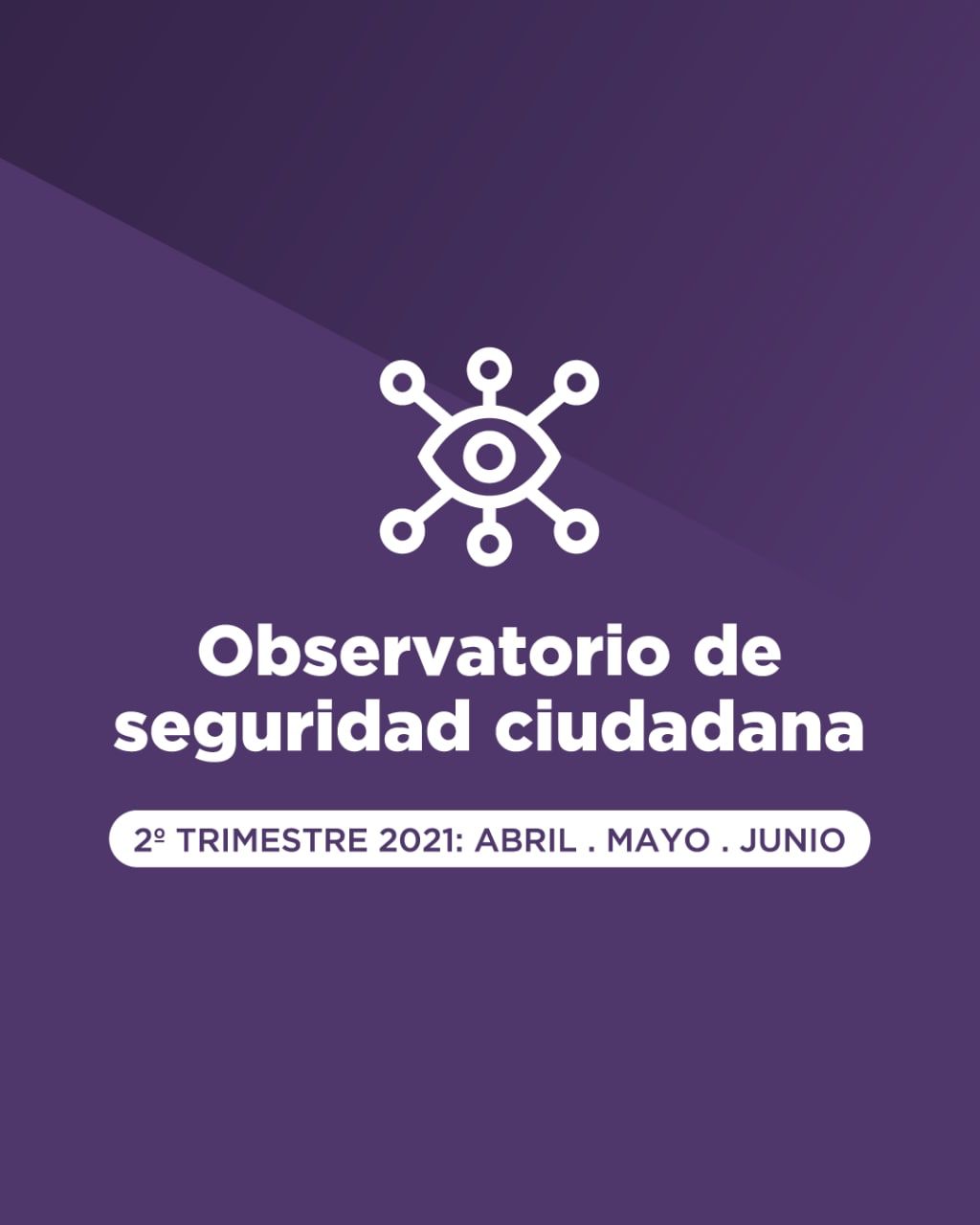  CONTINÚAN LAS ACCIONES DEL OBSERVATORIO DE SEGURIDAD CIUDADANA