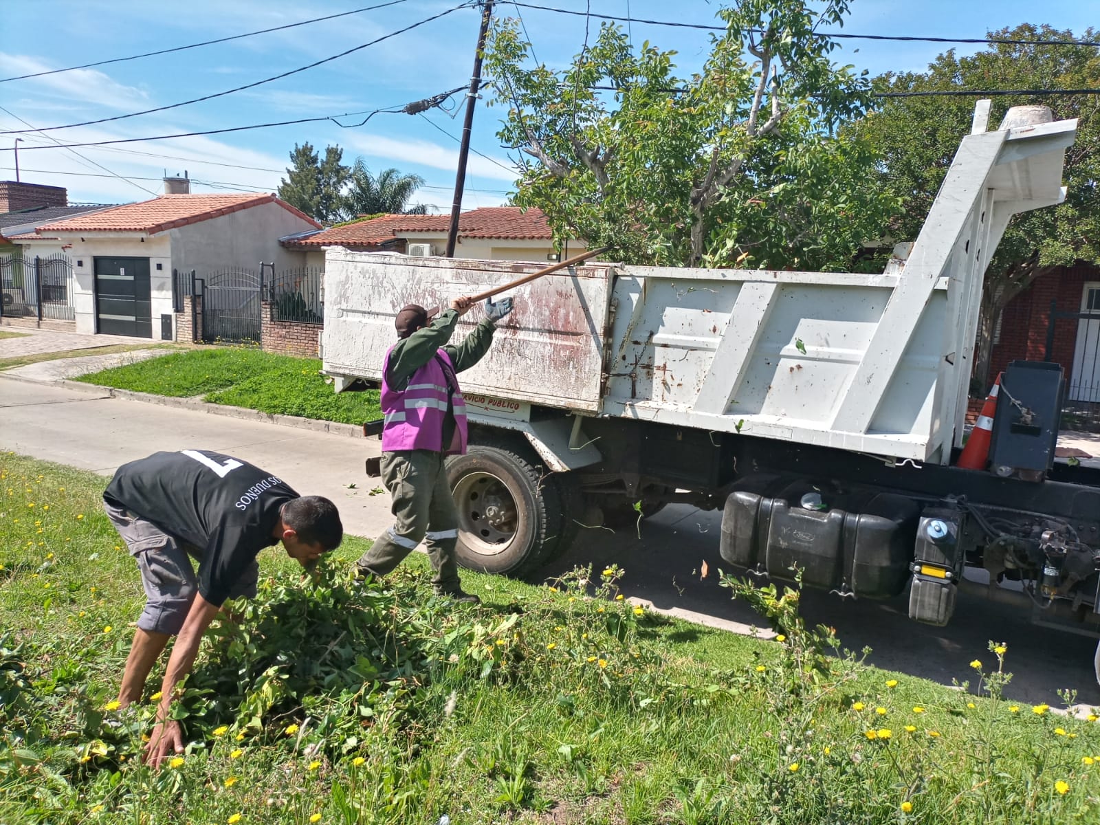 IMPORTANTE OPERATIVO DE RECOLECCIÓN DE RAMAS EN DISTINTOS BARRIOS