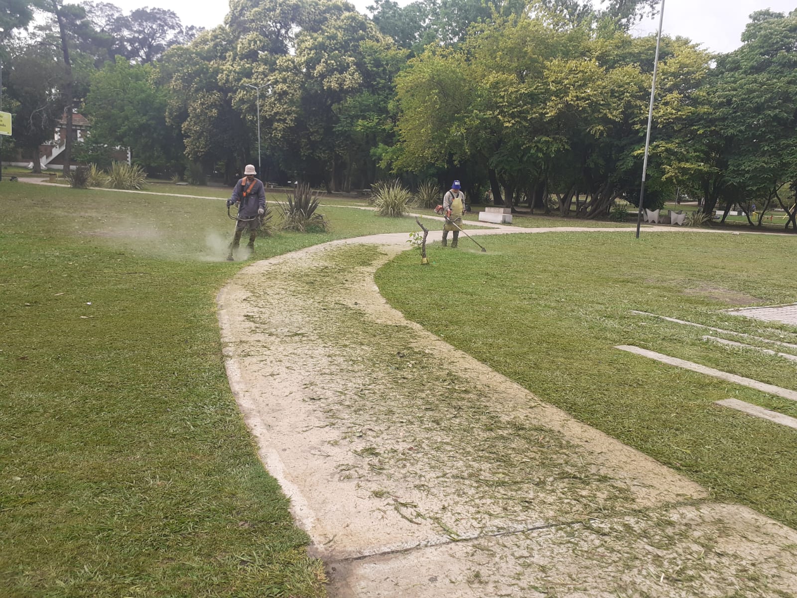 EL MUNICIPIO SIGUE CON LOS OPERATIVOS DE ERRADICACIÓN DE MICROBASURALES