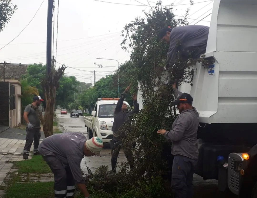 INTENSO TRABAJO DE LEVANTAMIENTO DE RAMAS Y TRONCOS EN TODOS LOS BARRIOS