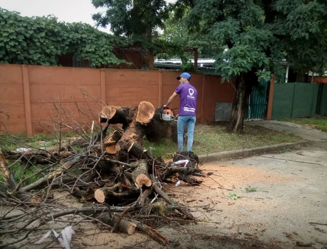 INTENSO TRABAJO DE LEVANTAMIENTO DE RAMAS Y TRONCOS EN TODOS LOS BARRIOS